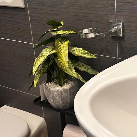 Rachel House Apartamento Marino